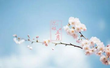 幼儿园中班五月工作计划8篇
