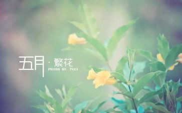 五月中班工作总结8篇