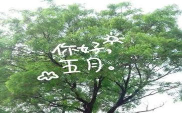 大班五月工作计划7篇