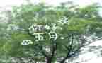 大班五月工作计划7篇