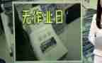 关于无作业日的作文优质6篇