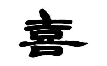 我最喜欢的动物小动物作文6篇