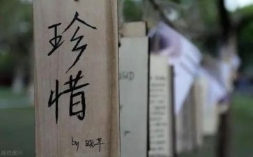 珍惜的演讲稿800字5篇