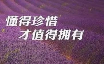 可惜我作文7篇