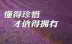 可惜我作文7篇