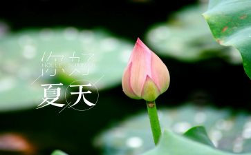 夏天的记忆作文最新8篇