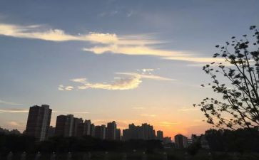 二年级下班级工作总结8篇