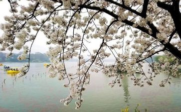总是会想起作文7篇