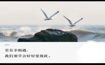 我与你相遇作文5篇