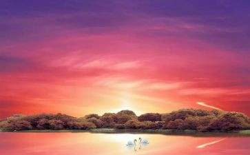 《骆驼祥子》心得体会100字7篇