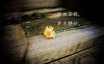 我羡慕她作文8篇