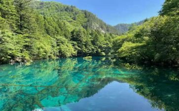 藤野先生读后感7篇