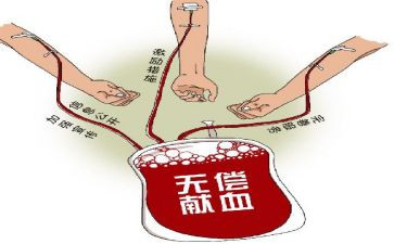 献血活动总结5篇