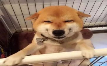 《笑》读后感优质6篇
