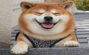 《笑》读后感100字优秀5篇