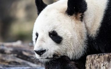 《笑》读后感5篇