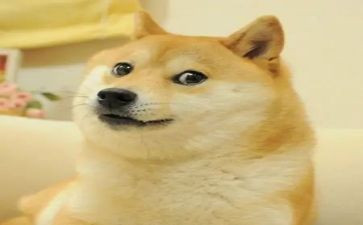 《笑》读后感100字7篇