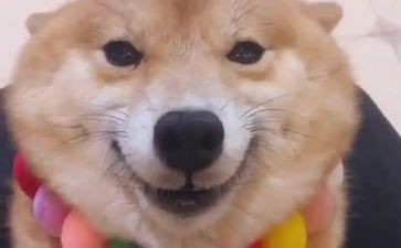 作文笑声600字作文7篇