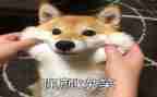 关于笑的作文700字5篇