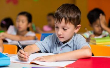 幼儿园小班生活课教案5篇