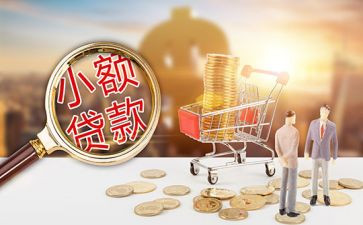 小额贷款担保合同6篇
