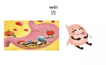 在消化内科的自我鉴定参考6篇