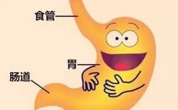 消化内科护士工作总结6篇