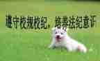 学校纪检部的工作计划6篇