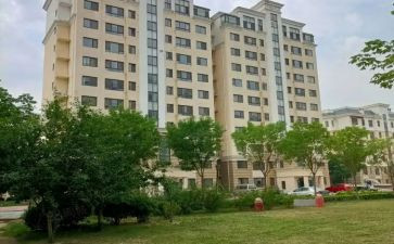 小区经理述职报告5篇