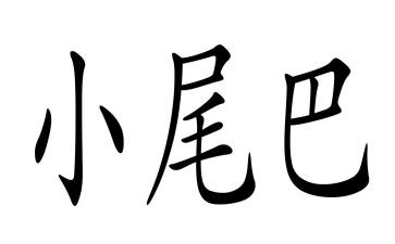 小尾巴教案优质5篇