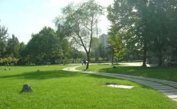 2024校务公开工作报告5篇