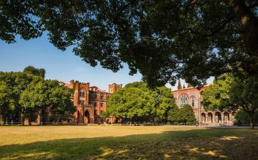 学校校务处工作总结8篇