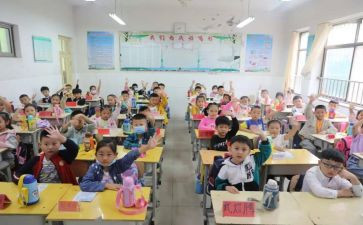 小学培训总结模板7篇