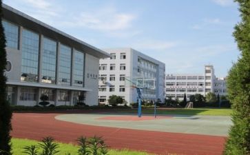 校园环保行活动总结最新5篇