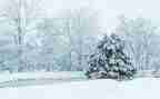 大班下雪教案6篇