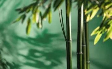 写物业工作总结推荐7篇