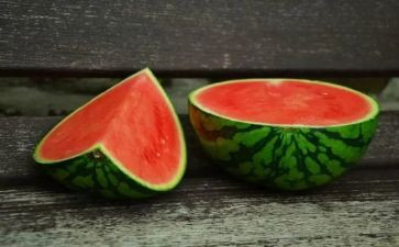 西瓜船活动教案6篇