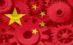 形势与政治2024心得体会8篇