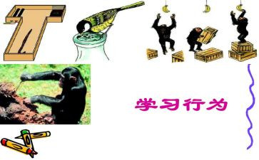 违规行为100禁心得体会6篇