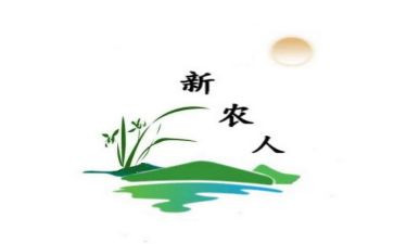 新农村建设调研报告5篇