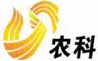 建设新农村的调查报告8篇