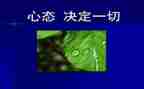 保持乐观心态的演讲稿6篇