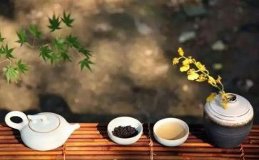 廉洁修身的读后感5篇