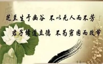 文明修身的活动总结5篇