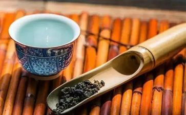 修养作文600字8篇