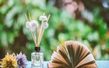 论修养作文优秀6篇