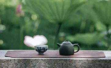 修养的作文推荐7篇