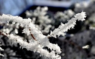 社区除雪工作总结8篇