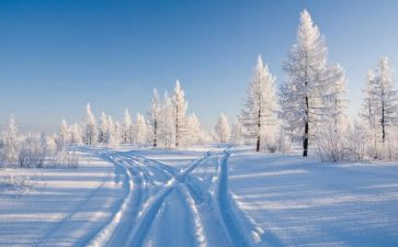 除雪活动工作总结精选6篇
