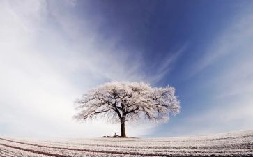 物业除雪工作总结参考6篇